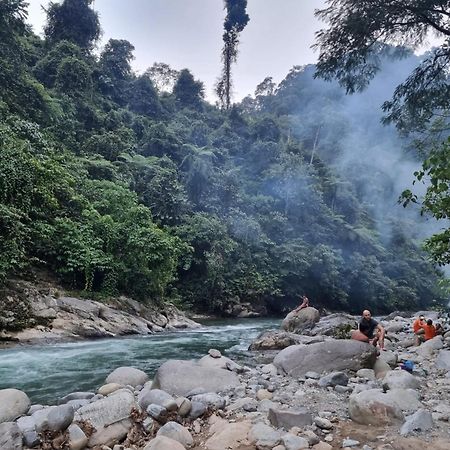 Lucky Bamboo'Bungalows-Resto And Orangutan Jungle Trekking Tours Букит Лаванг Екстериор снимка
