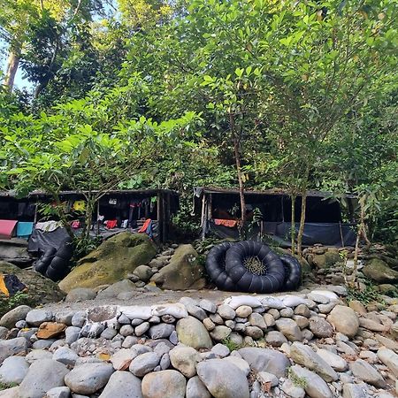 Lucky Bamboo'Bungalows-Resto And Orangutan Jungle Trekking Tours Букит Лаванг Екстериор снимка
