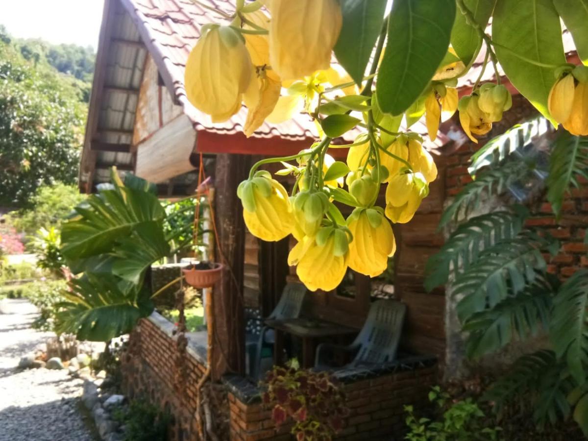 Lucky Bamboo'Bungalows-Resto And Orangutan Jungle Trekking Tours Букит Лаванг Екстериор снимка