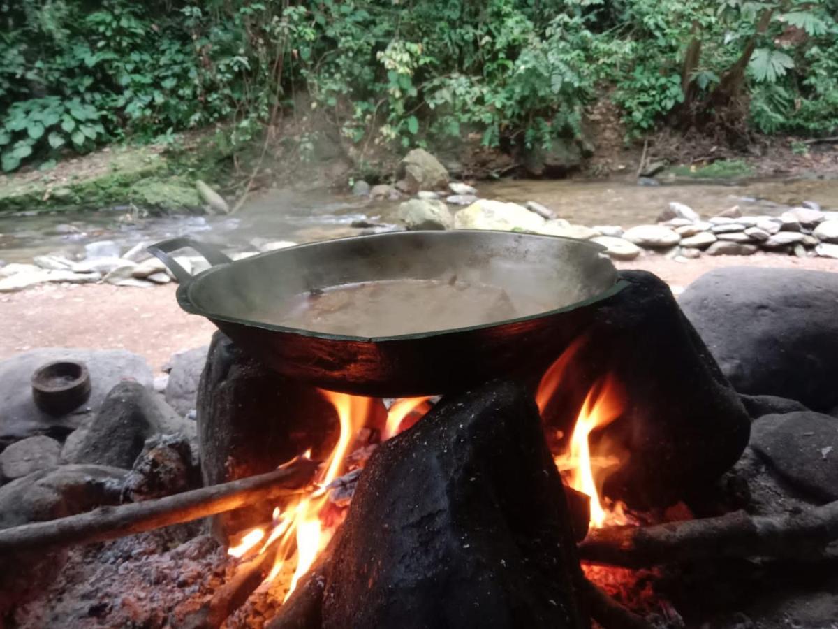 Lucky Bamboo'Bungalows-Resto And Orangutan Jungle Trekking Tours Букит Лаванг Екстериор снимка