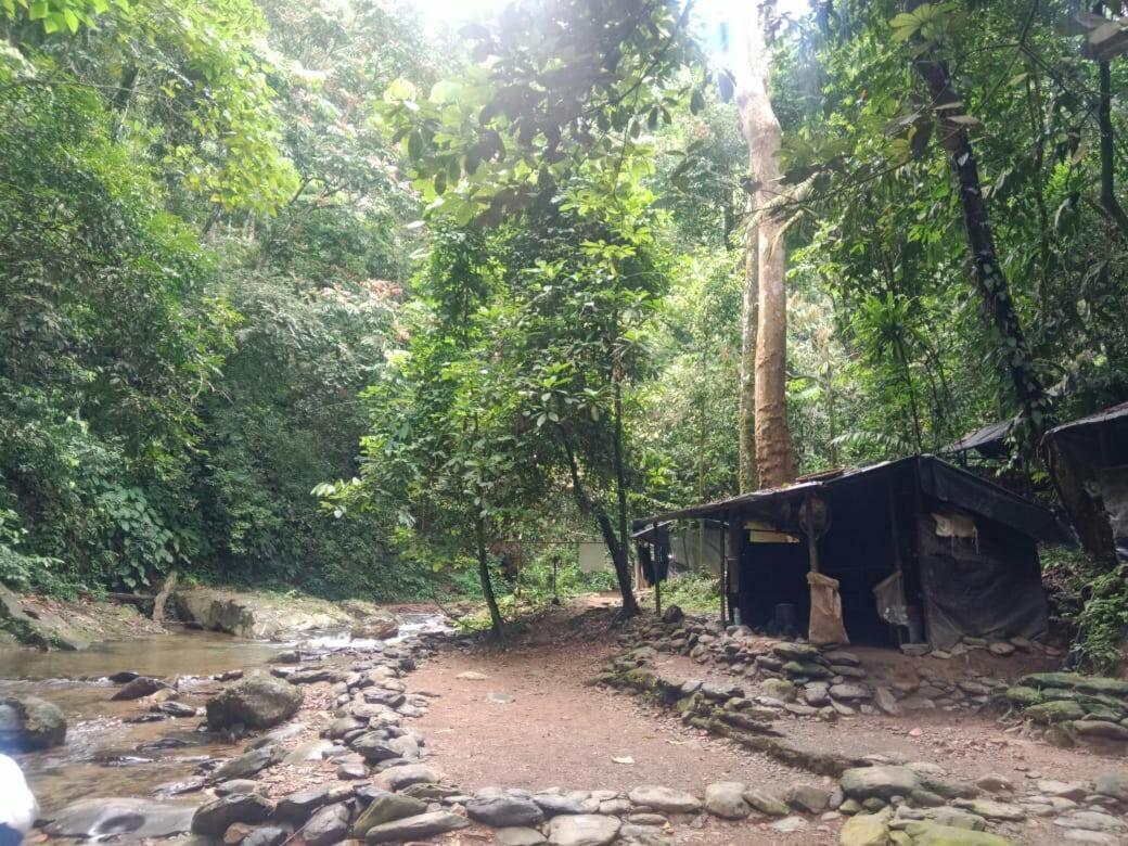 Lucky Bamboo'Bungalows-Resto And Orangutan Jungle Trekking Tours Букит Лаванг Екстериор снимка