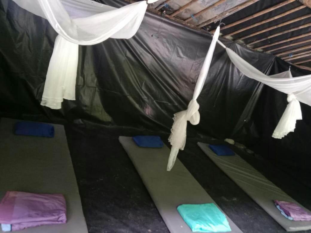 Lucky Bamboo'Bungalows-Resto And Orangutan Jungle Trekking Tours Букит Лаванг Екстериор снимка
