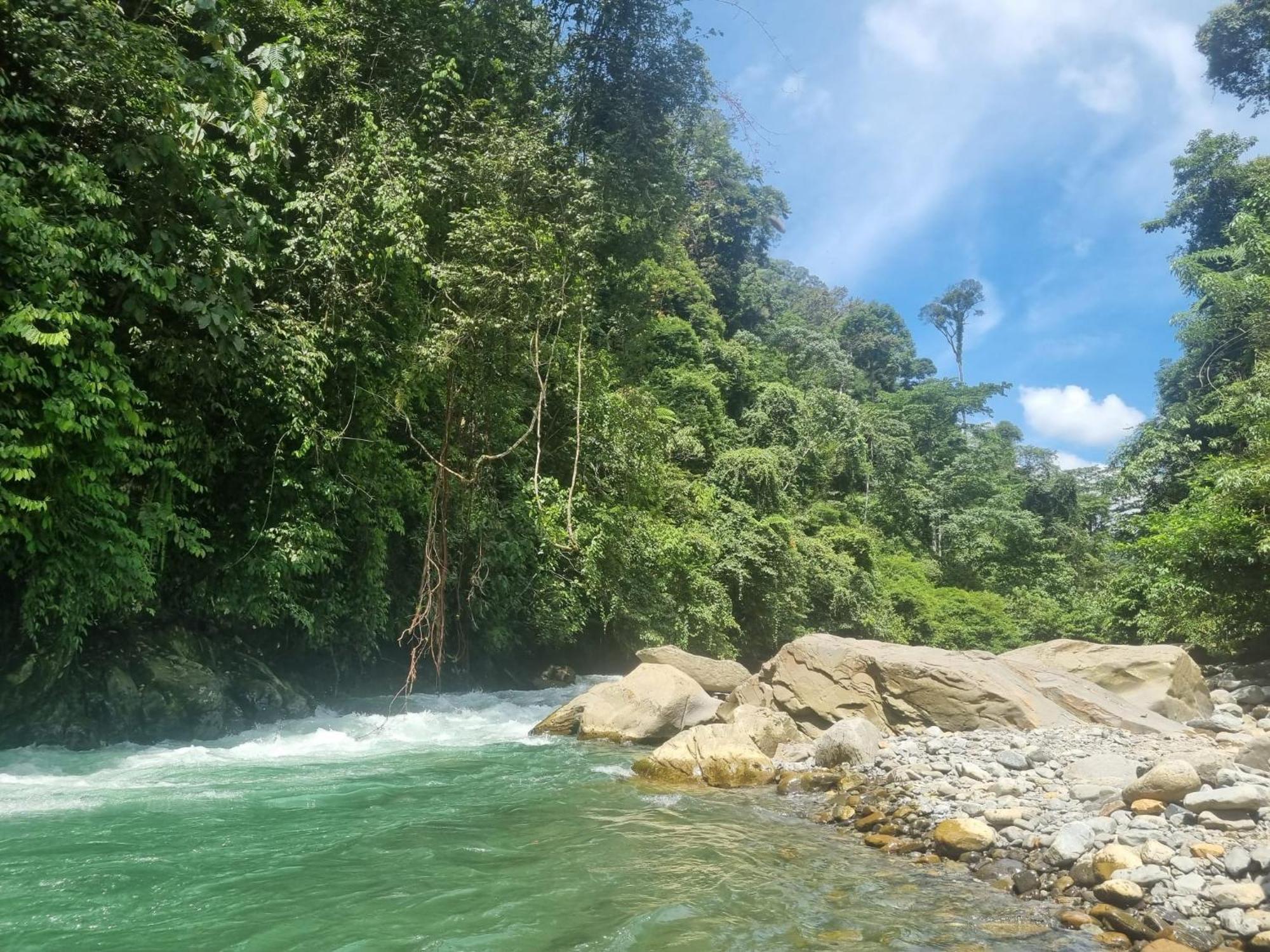 Lucky Bamboo'Bungalows-Resto And Orangutan Jungle Trekking Tours Букит Лаванг Екстериор снимка
