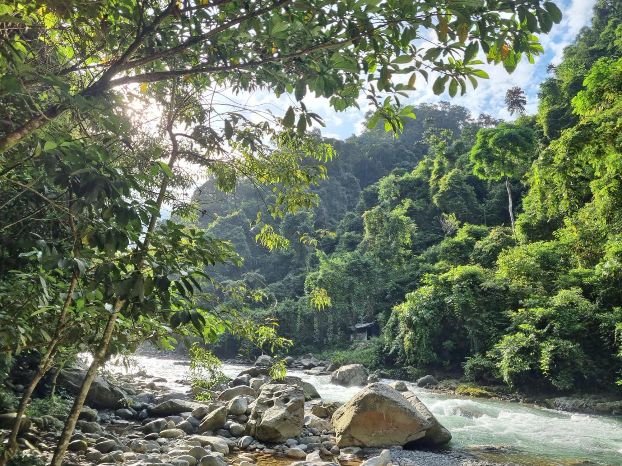 Lucky Bamboo'Bungalows-Resto And Orangutan Jungle Trekking Tours Букит Лаванг Екстериор снимка