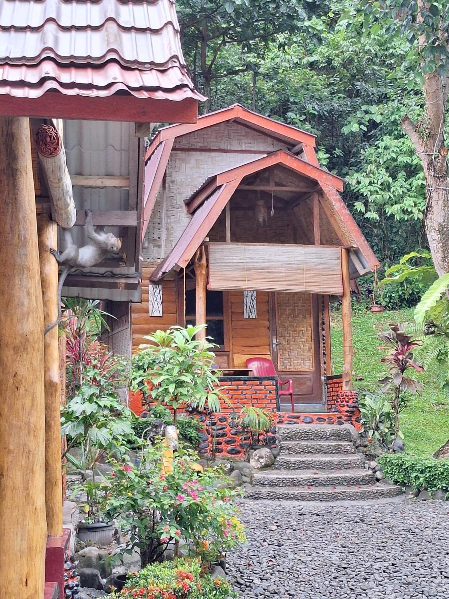 Lucky Bamboo'Bungalows-Resto And Orangutan Jungle Trekking Tours Букит Лаванг Екстериор снимка